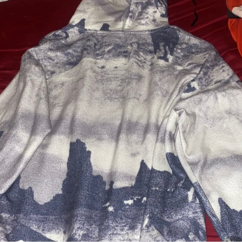 Urban Outfitters BDG Hoodie